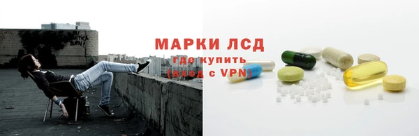 spice Аркадак
